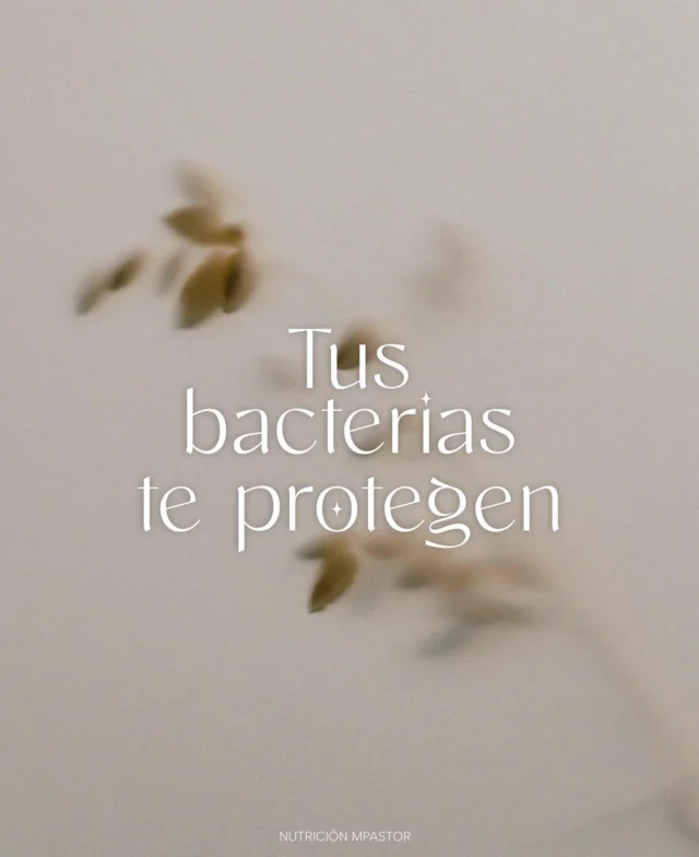 Microbiota muconutritiva ➡️➡️ por qué es tan importante cuidarla ✨ ‼️‼️‼️Y cómo hacerlo 🤓✅Recomendaciones sencillas pueden hacerte sentir mucho mejor 🤍 ....#salud #intestino #microbiota #sibo #akkermansia #mucus #mucosas #fibra